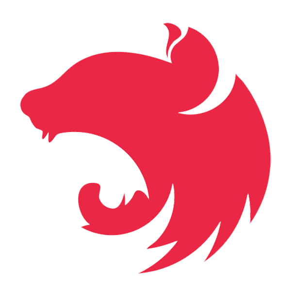 Nest Framework